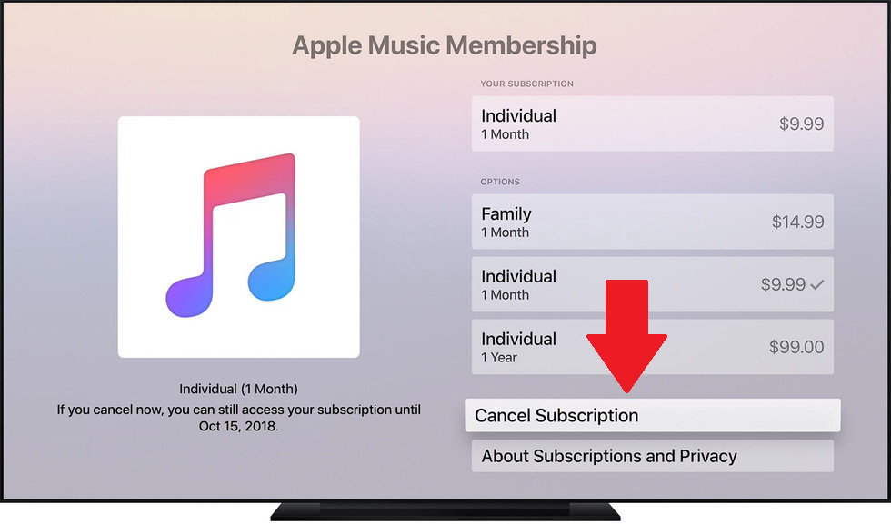 Can You Cancel Apple Music Anytime?